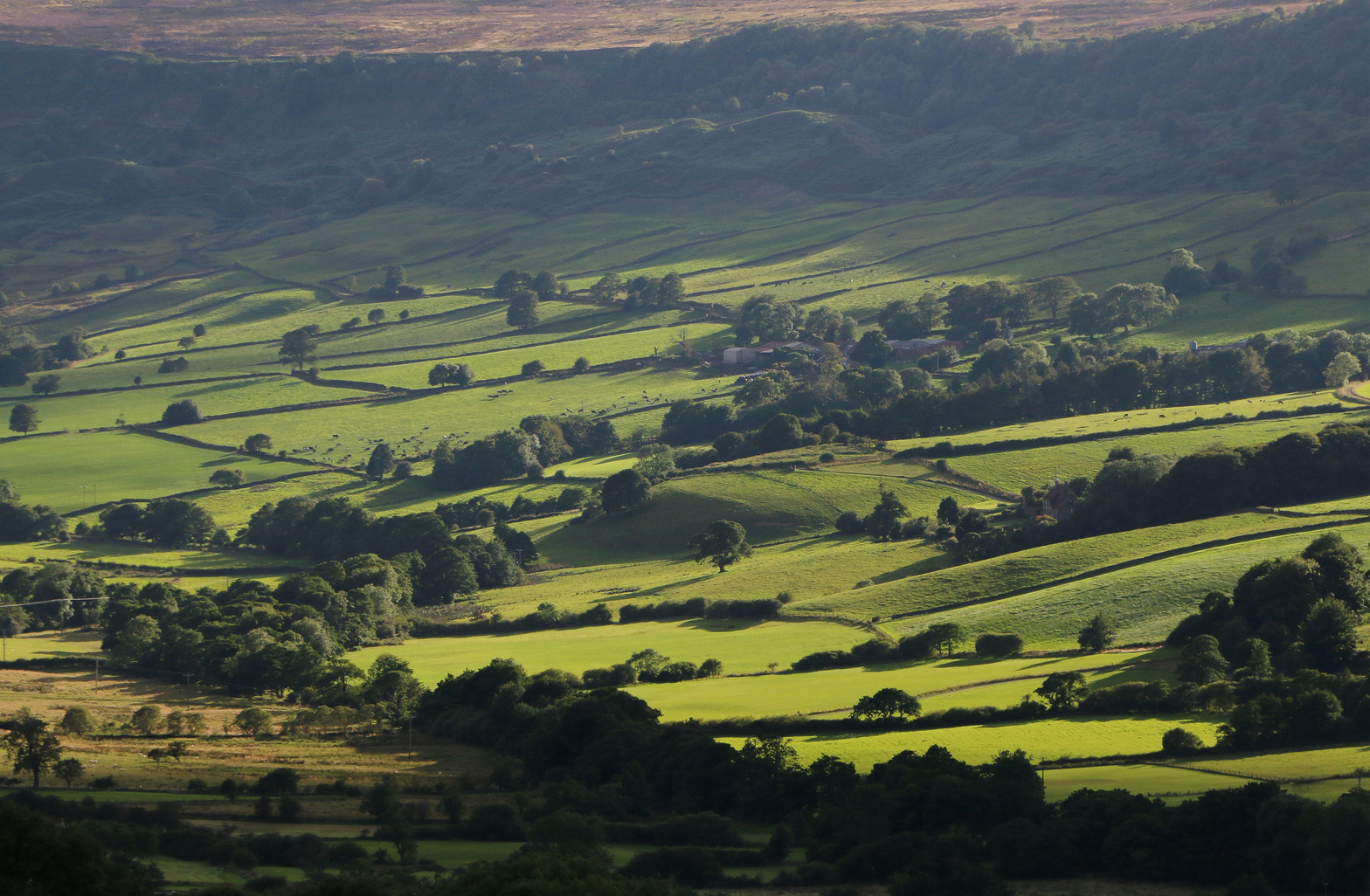 Great Fryup Dale